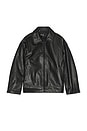 view 6 of 6 Alek Leather Jacket in Black
