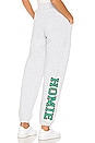 view 4 of 5 Homie Sweatpants in Ash