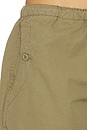 view 7 of 9 PANTALON CORINNE in Oak Moss