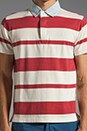 view 4 of 5 Awning Stripe Heavy Rugger Polo en Red/White in Red & White