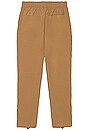 view 3 of 3 Asphalt Pant in Taupe