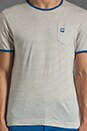 view 4 of 5 Brad Stripe Tee in True Blue