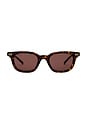 view 1 of 3 Round Sunglasses in Havana & Brown