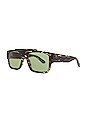 view 2 of 3 Rectangular Sunglasses in Havana & Green