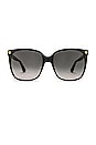 view 1 of 4 Light Acetate Cat Eye Sunglasses in Black