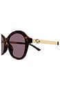 view 4 of 3 GAFAS DE SOL ROUND  in Havana Gold And Violet