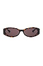 view 1 of 3 Hailey Oval Sunglasses in Havana
