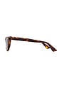 view 3 of 3 Cat Eye Sunglasses in Havana & Violet