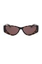 view 1 of 3 Hailey Sunglasses in Havana & Brown