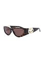 view 2 of 3 Hailey Sunglasses in Havana & Brown