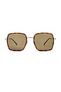 view 1 of 3 Square Sunglasses in Havana, Gold, & Brown