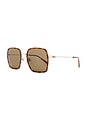 view 2 of 3 Square Sunglasses in Havana, Gold, & Brown