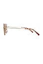 view 3 of 3 Square Sunglasses in Havana, Gold, & Brown