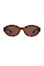 view 1 of 3 Oval Sunglasses in Havana