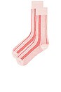 view 2 of 2 CALCETINES VERTICAL STRIPE in Powder Pink, Cream, & Cherry
