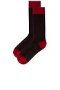 view 2 of 2 The Soft Socks in Burnt Cocoa & Ruby