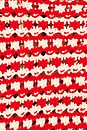 view 5 of 5 Kirby Jacket in Cherry Combo