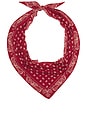view 1 of 4 The Wild Rag Scarf in Carmine & Butter