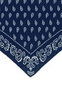 view 5 of 5 The Wild Rag in Navy & Clear Sky