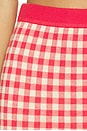 view 6 of 6 Gingham Long Skirt in Scarlet & Mist