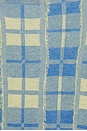 view 5 of 5 CAMISA ELLE DE CUADROS CON FLECOS in Delft Blue & Butter
