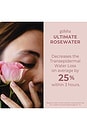 view 4 of 8 Ultimate Rose Water in 
