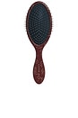 view 1 of 3 BROSSE À CHEVEUX THE DETANGLING BRUSH IN WESTERN in Western