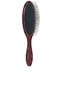 view 4 of 3 BROSSE À CHEVEUX THE DETANGLING BRUSH IN WESTERN in Western