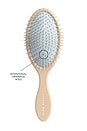 view 2 of 5 The Detangling Brush in Classic