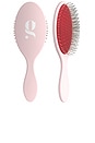 view 1 of 5 The Detangling Brush in Ballerina Pink