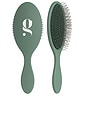 view 1 of 4 The Detangling Brush in BetterGreen