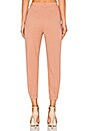 view 3 of 4 Kasper Pant in Mauve