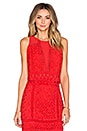 view 1 of 5 TOP CORTO ENCAJE MELROSE in Hibiscus