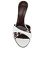 view 4 of 5 MULES STEFY in Bianco & Crotalo