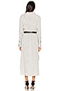 view 3 of 4 Pinstripe Maxi Shirt Dress in Chalk & Grey