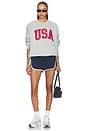 view 4 of 5 Usa Offside Crewneck in Grey