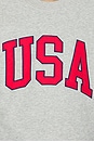 view 5 of 5 Usa Offside Crewneck in Grey