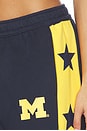 view 6 of 6 University Of Michigan All-star Stride Pants in Navy