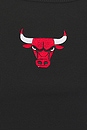 view 5 of 5 Chicago Bulls MVP Tank Top in Black