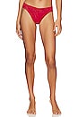 view 3 of 6 Original Rise Thong Holiday 3-Pack in Red, White, & Candy Cane
