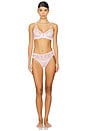 view 4 of 4 Natural Rise Thong in Vie En Rose