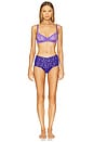 view 4 of 4 Retro Thong in Violets Are Blue