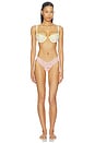 view 5 of 5 TANGA SIGNATURE LACE in Rosewater Pink, Naples, Ginger Shot, Seafoam Blue & Fiji Blue