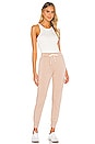 view 4 of 4 Cargo Jogger in Taupe