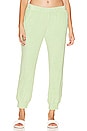 view 1 of 4 Terry Cloth Jogger in Lettuce