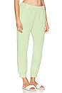 view 2 of 4 Terry Cloth Jogger in Lettuce