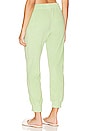 view 3 of 4 Terry Cloth Jogger in Lettuce