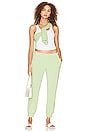 view 4 of 4 Terry Cloth Jogger in Lettuce