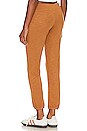 view 3 of 4 PANTALÓN DEPORTIVO VINTAGE in Hazelnut