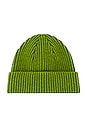view 1 of 2 Match Rib Beanie in Green